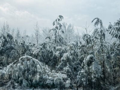 frost-covered outdoor faucet in Texas winter - how to prepare your plumbing for texas weather
