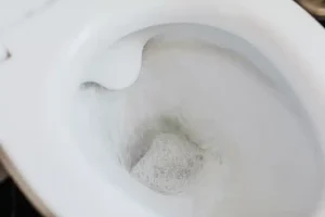 Do You Have a Clogged Toilet? Try This First!
