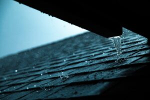 Hidden Water Leak Signs You Might Miss