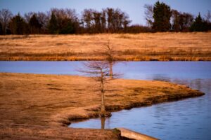 The Definitive Guide to Water Conservation Tips for Central Texas Homeowners