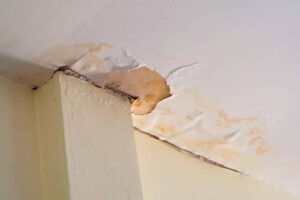 The Homeowners Guide to Quick and Effective Leak Detection
