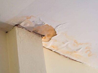 The Homeowners Guide to Quick and Effective Leak Detection