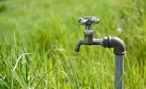The Top 5 Summertime Plumbing Issues to Look Out For