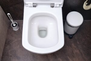 Toilet Won’t Flush but Not Clogged