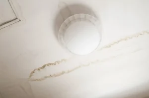 Why Leak Detection is Important if You See Water Marks on Your Walls