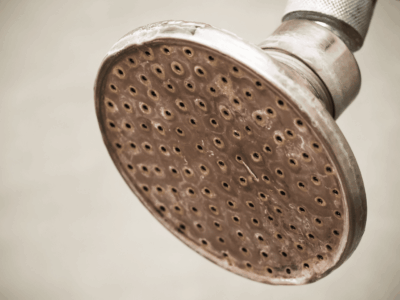 Why Your Shower Water Could Be Discolored